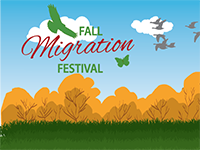 Fall Migration Festival